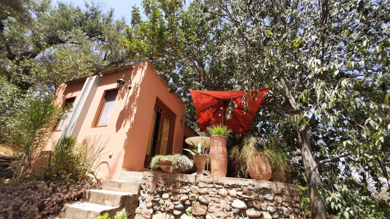 Maroc Lodge Atlas Mountain Retreat Amizmiz Zewnętrze zdjęcie